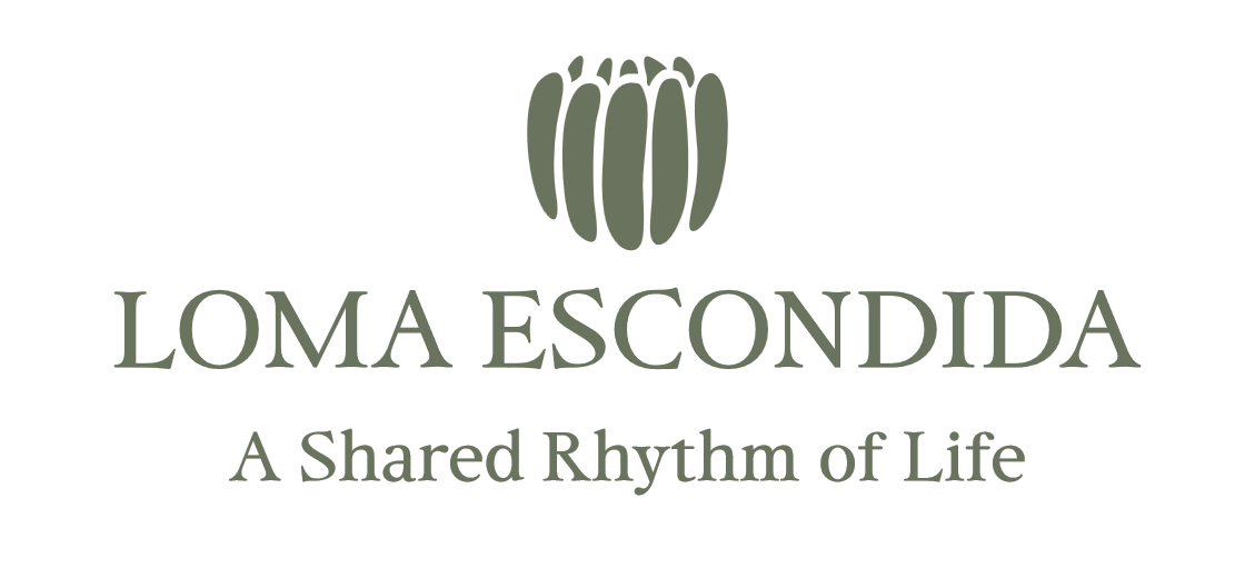 Loma Escondida